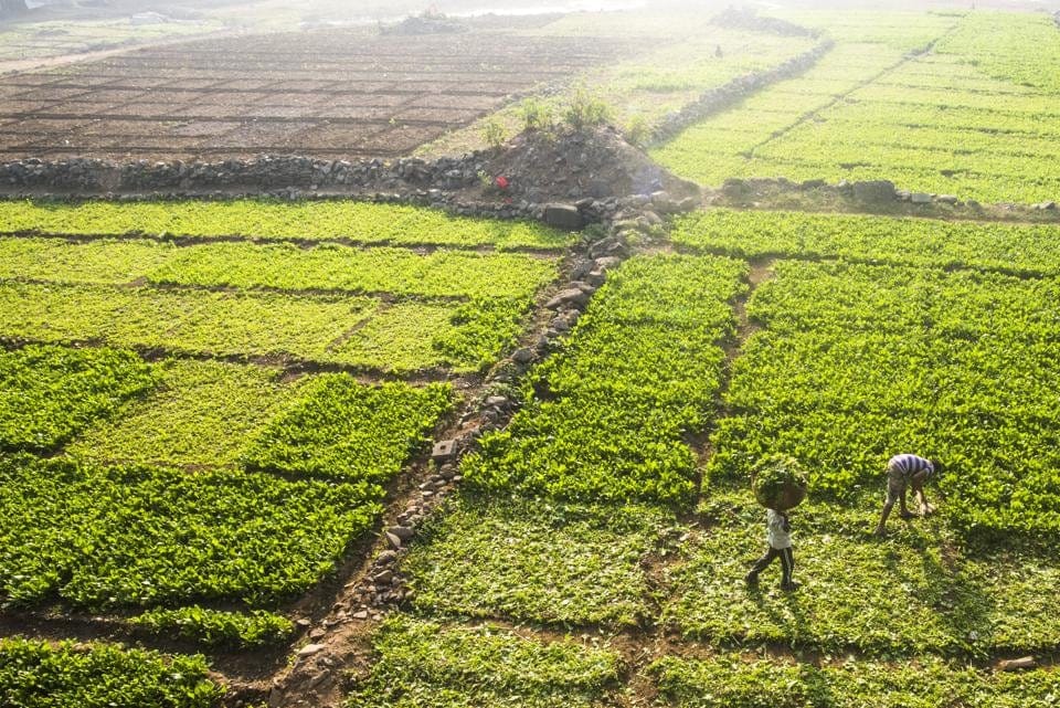 Farmers Win as HC Stays Panvel FSI Order