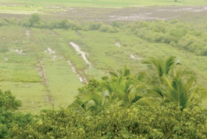 Goa Approves Land Conversion in Key Talukas