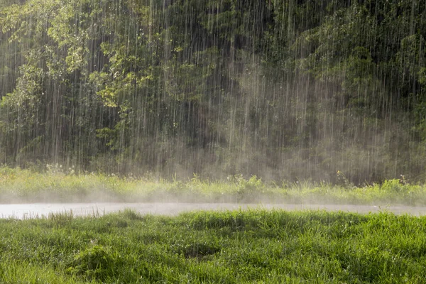 India to See 106% of Average Rainfall, IMD Reports
