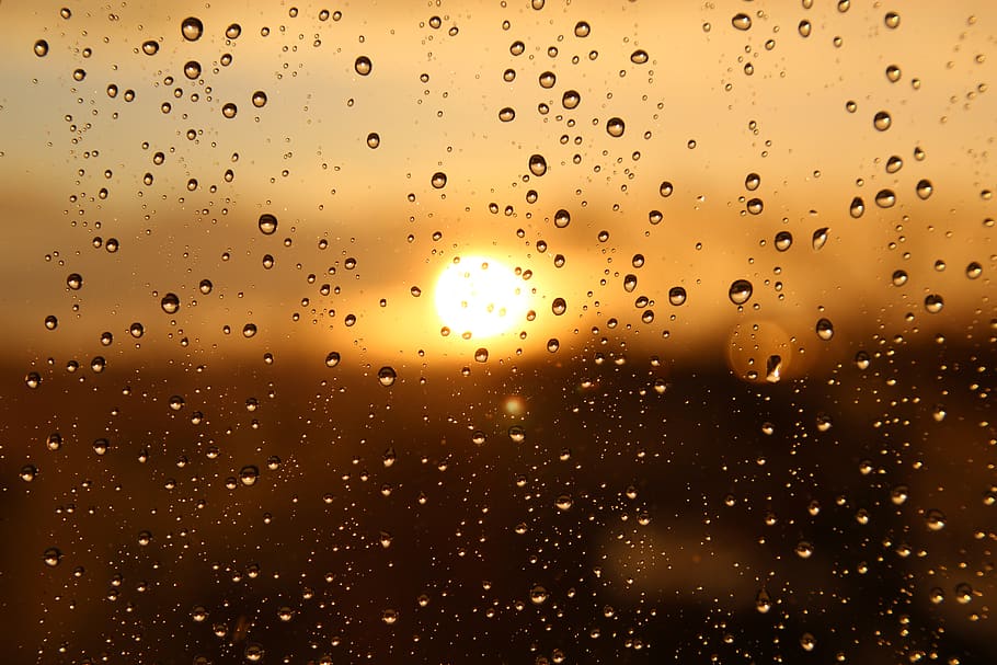 Mumbai Weather Update Warm and Rainy August 1st
