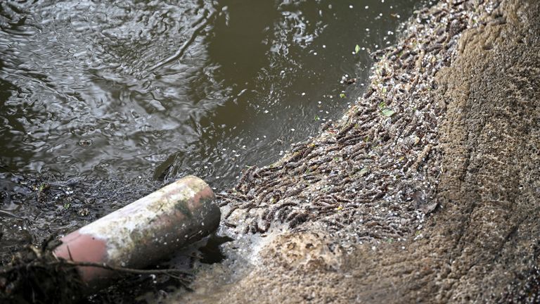 Sea Water Seepage Sparks Civic Concerns