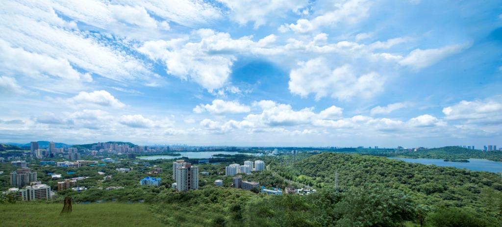 SoBo Residents Demand Green Forests Over Commercialisation
