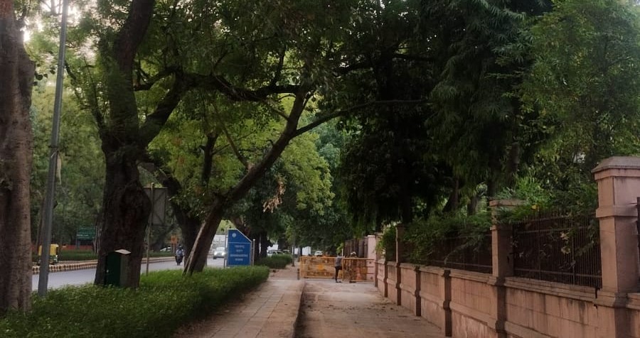 In-Situ Tree Plantation for Mumbai Metro-3 Project
