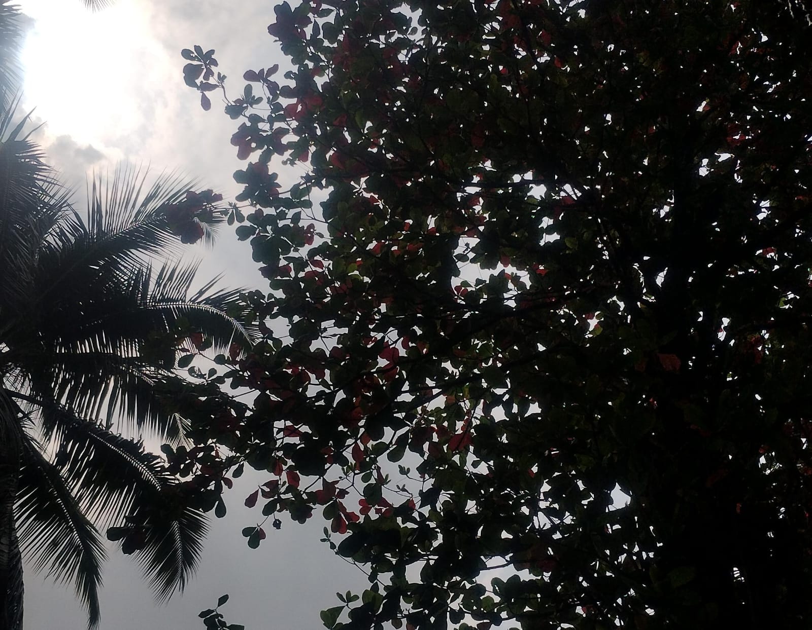 Mumbai Wakes to Mild Temperatures and Good Air Quality on August 24