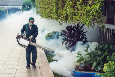 BBMP Launches Mosquito Control Pilot in Bengaluru