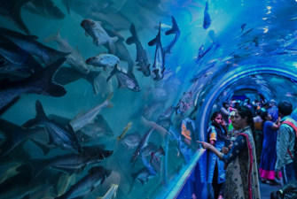 KMC Eyes Marine Aquarium for Public Land