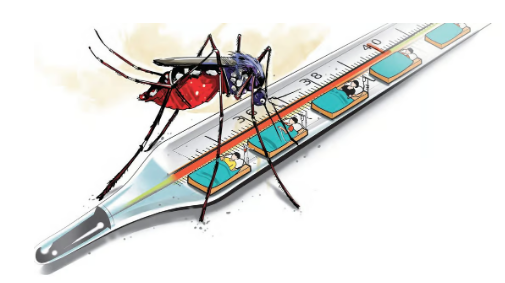 Hyderabad's Battle Against Dengue Intensifies