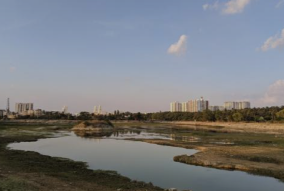 Persistent Pollution Plagues Gottigere Lake