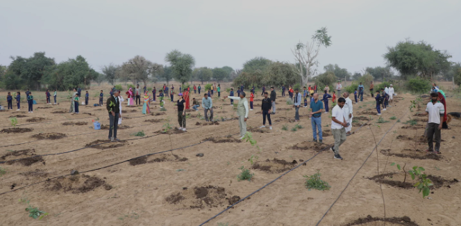 Fresh Development Projects Unveiled for Ahmedabad with Emphasis on Tree Plantation