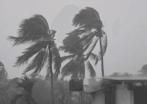 Kottayam and Alappuzha Bear Brunt of Destructive Winds