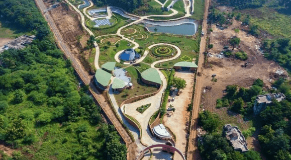 Gujarat University’s Arogya Van A New Green Initiative