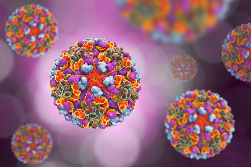 Mumbai and Pune Battles New Variant Of Chikungunya