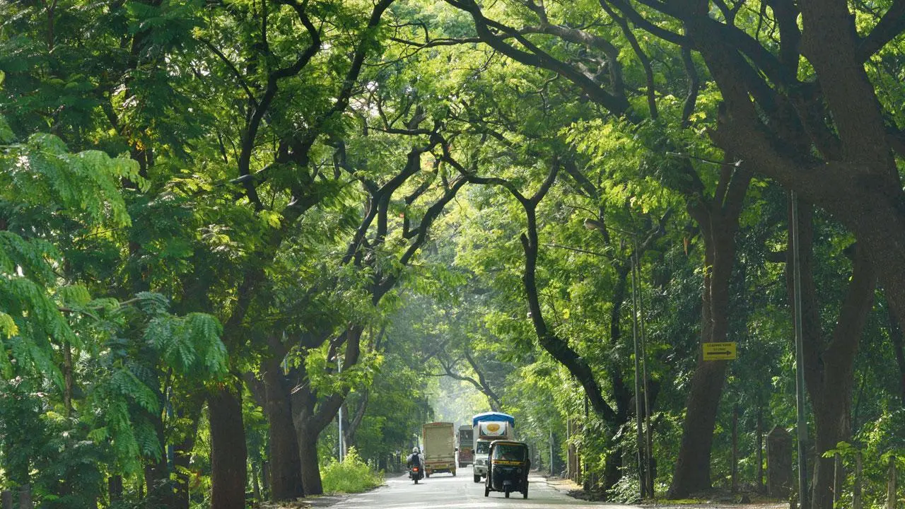 Forest Department Pushes for Speed Breakers in Aarey