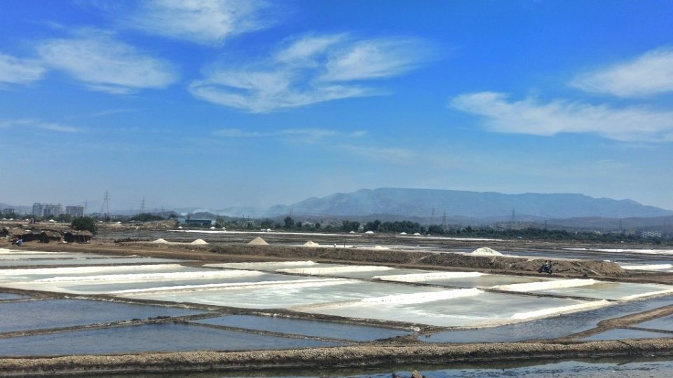 Government Moves to Free Up Salt Pan Lands