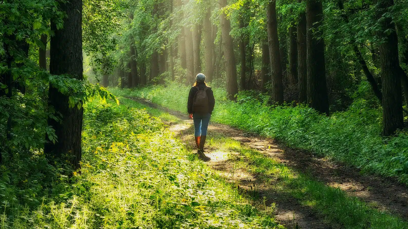 Green Walk Marks 15 Years, Urges Better Site Protection