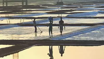 Salt Pan Encroachment Mumbai’s New Flood Risk Amid Dharavi Redevelopment