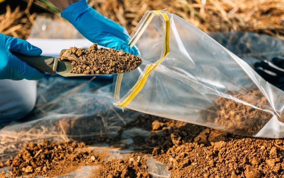 Thane Ring Metro Project Takes Shape with Soil Stability Test