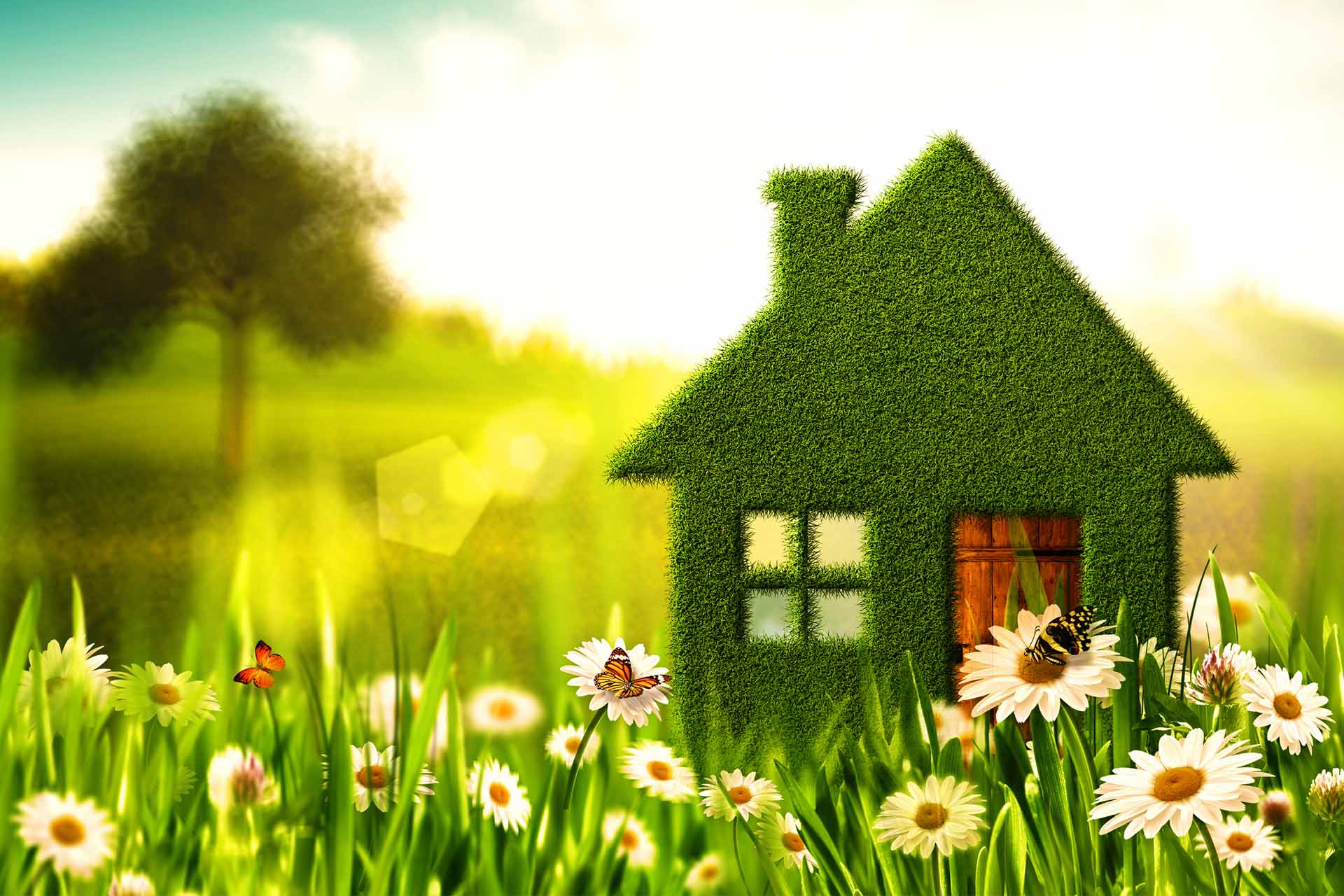 Unitech's Noida Projects Await Environmental Green Light