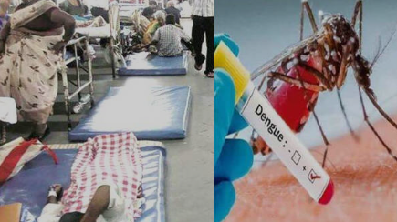 Ernakulam Reports Rising Dengue Cases and Deaths