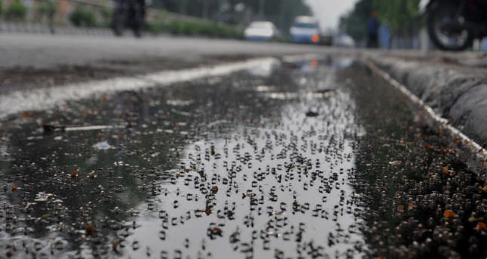 Stagnant Water Sparks Health Crisis Concerns