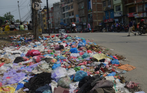 Tourist Surge Worsens Fort Kochi’s Waste Crisis