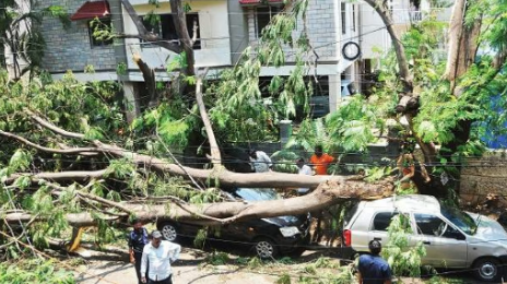 GHMC Responds 38 Fallen Trees, 37 Cleared Amid Heavy Rain