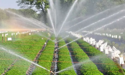 ₹335 Crore Needed for Telangana’s Irrigation Repairs
