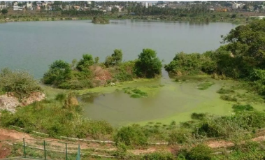 Realtors' Illegal Construction on Lakes Sparks Outcry