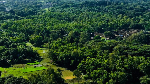 Aarey Lake Rejuvenation Plan Faces Environmental Pushback