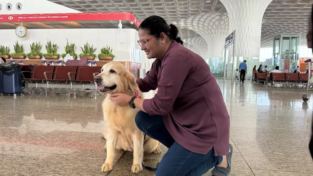 Mumbai Airport Reintroduces Paw-sitive Therapy Dogs for Travelers