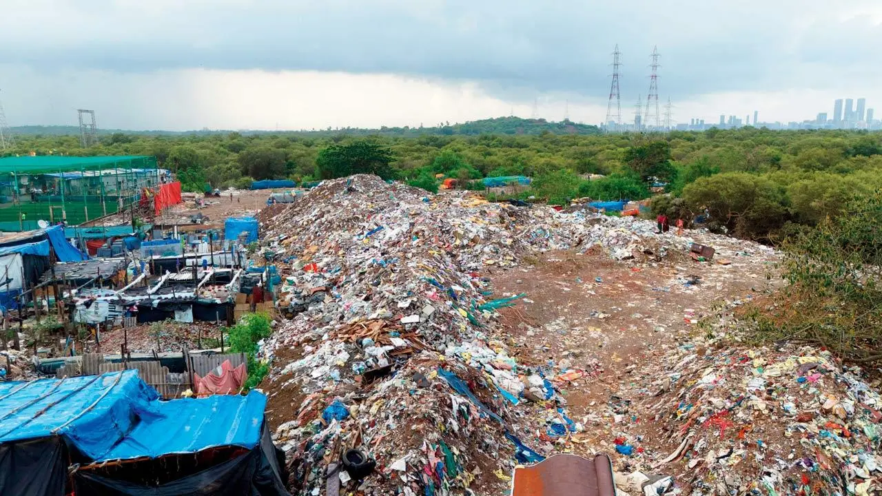 Mumbai To Probe Kanjurmarg Dumping Ground Issues After Citizen Complaints On July 11