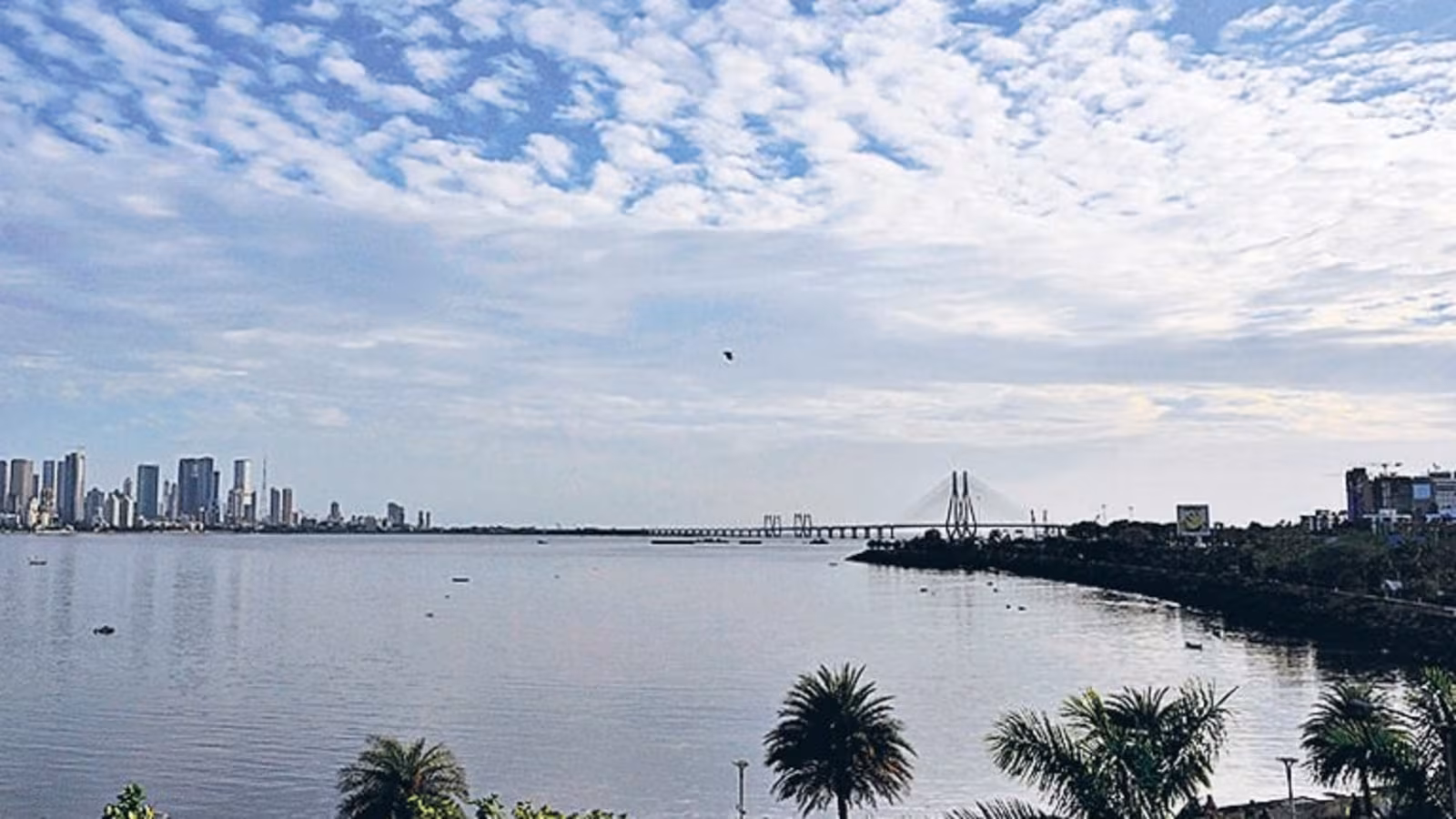 Mumbai Residents Fight Back Against LED Sphere Plan