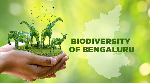 Bengaluru’s Yelahanka to Gain Major Biodiversity Space