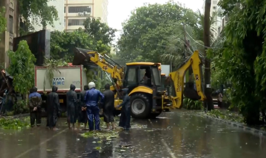 Supreme Court Restricts Tree Felling for Metro Project in Kolkata