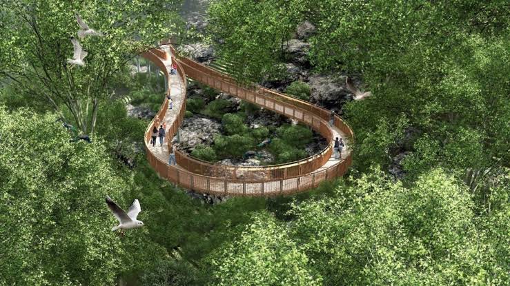 Mumbai to Unveil Elevated Forest Walkway at Malabar Hill with Stunning Views