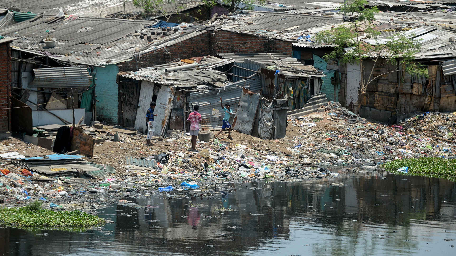 Chennai’s Waste Contamination Threatens Perumbakkam Lake and Nearby Residents