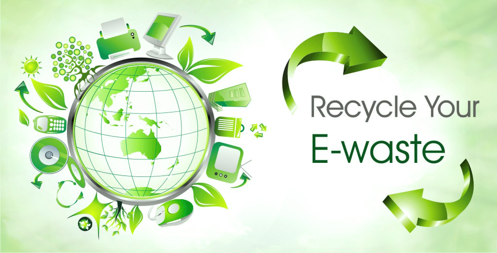 Hyderabad Study Reveals Plants That Remove E-Waste Metals