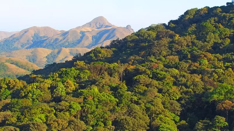 Bengaluru’s Green Decline and Nearby Districts’ Growth