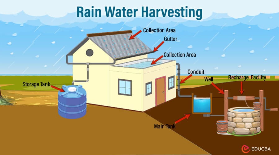 Harvesting Rainwater A Path to Flood and Drought Resilience