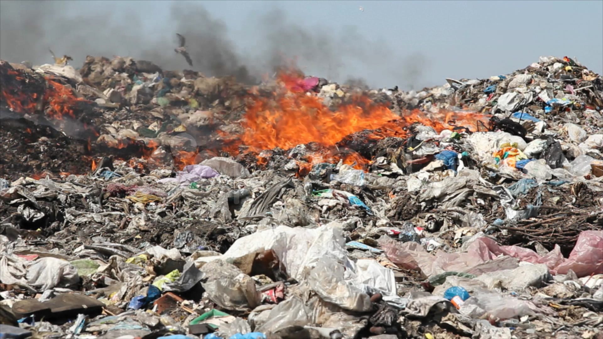 Pune’s Waste Burning Crisis Citizens Demand Immediate Action