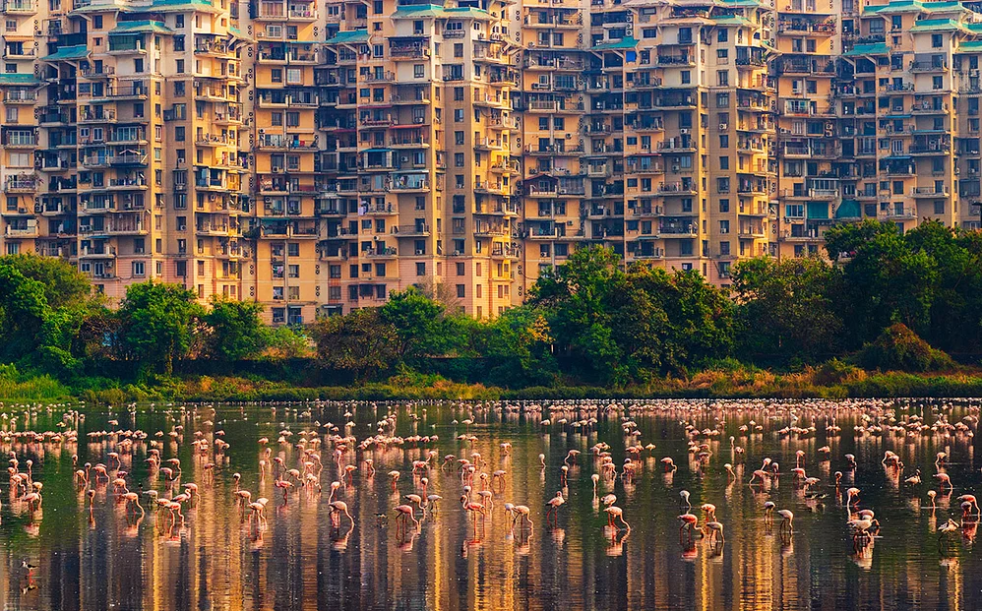 Environmental Clearance Order Stalls 200 Mumbai Real Estate Projects