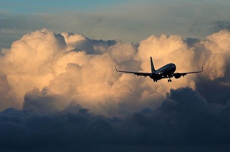 Alliance Air Enhances Northeast Connectivity with New Flights to Imphal