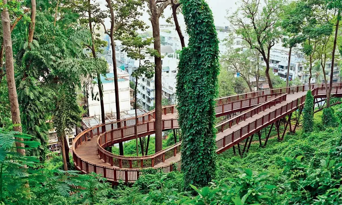 Malabar Hill’s Elevated Nature Trail Opening Delayed for Crowd Control