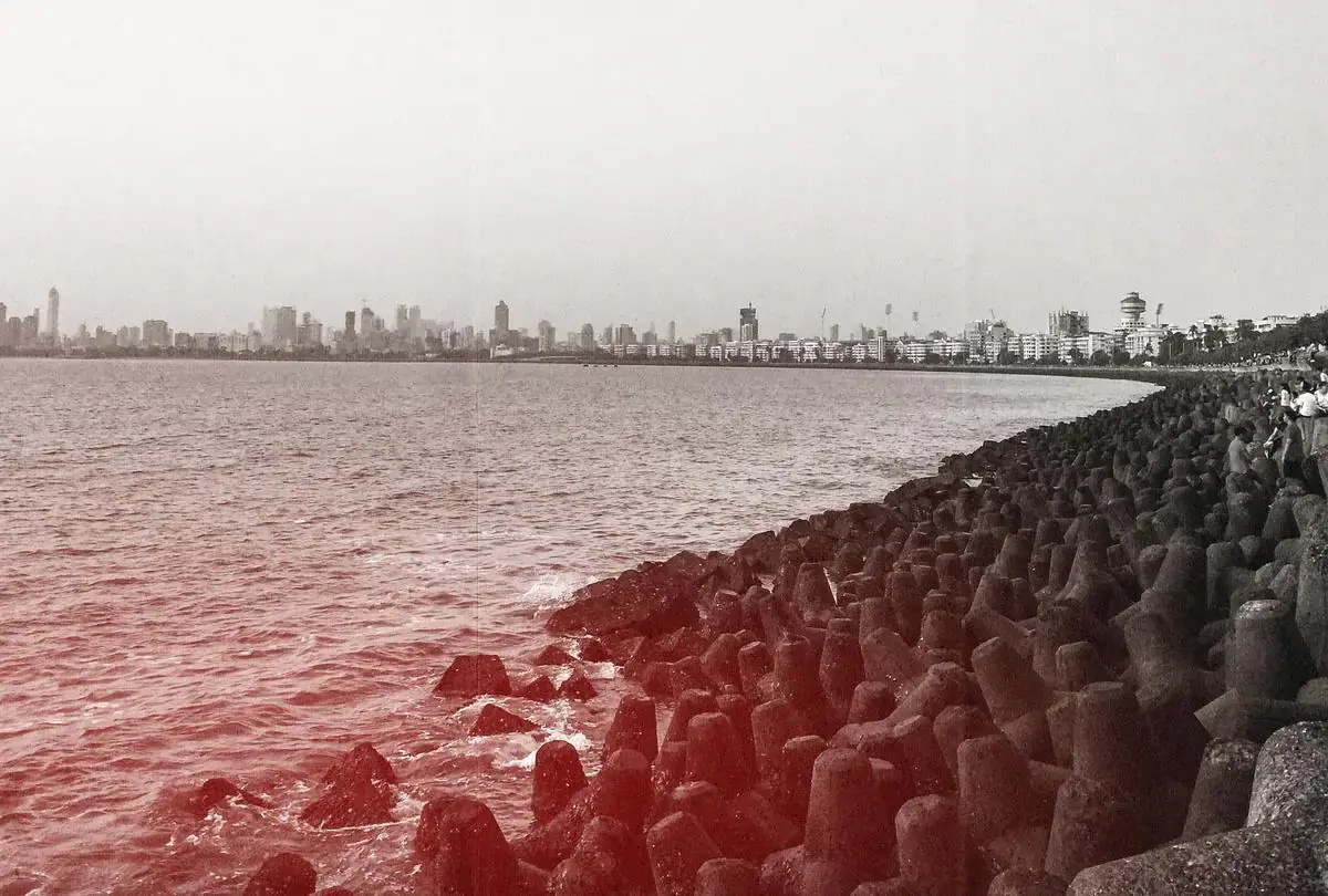 Marine Drive Tetrapods to Be Replaced by 2025