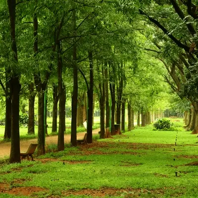 Karnataka Government Allows Traffic Access to Cubbon Park on Select Saturdays