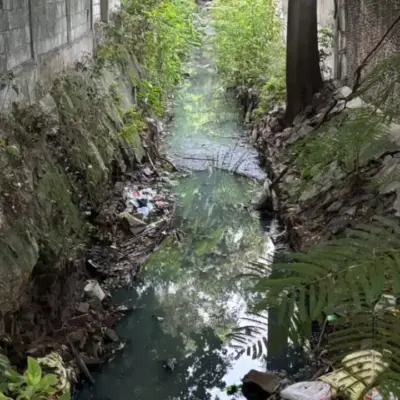 Greater Chennai Corporation plans to restore Nandanam Canal to Prevent Flooding in T Nagar
