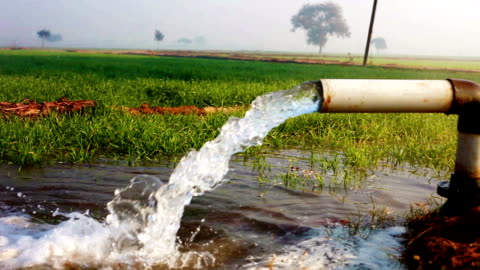 Telangana Government Optimises Water Usage for Agriculture and Drinking