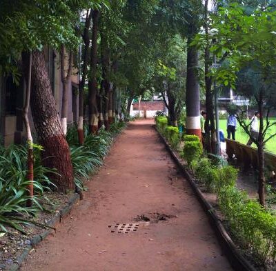 AMC's development projects are reducing Ahmedabad's green cover