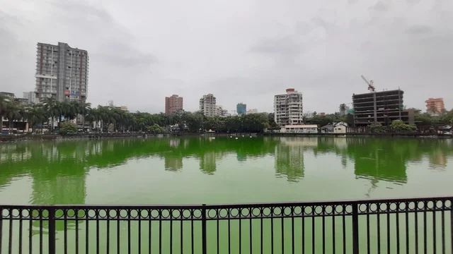 Varsha Gaikwad Launches Appeal to Save Bandra Talao