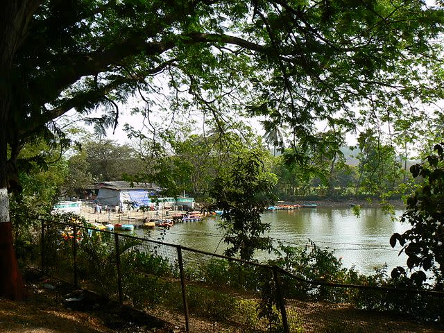 Aarey Dairy Machinery to Be Scrapped, Sparking Calls for Preservation as Art